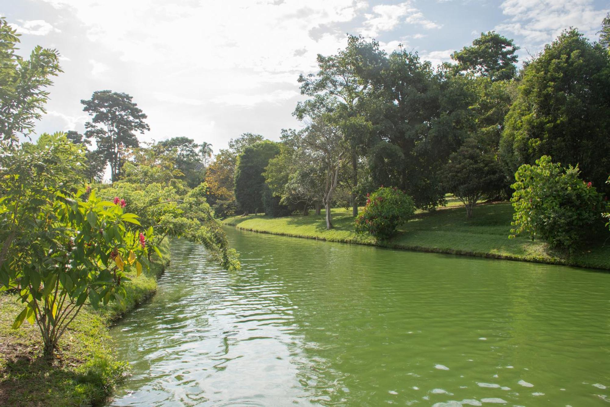 La Herencia Hotel El Socorro Экстерьер фото